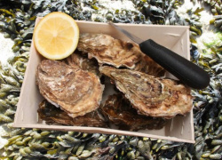 huitres-bouzigues
